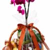 Café Manhã com Orquidea Frutas e Chocolates